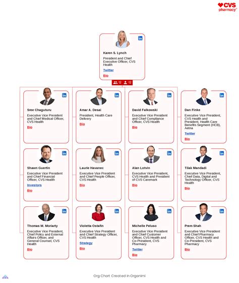 Cvs Healths Organizational Structure Interactive Chart Organimi