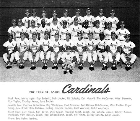 1964 World Champions 7 Cardinals Team St Louis Baseball St Louis