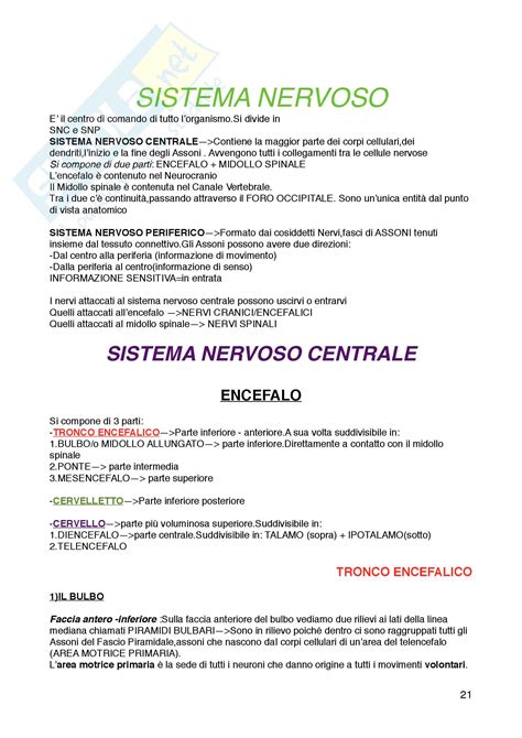 Livello chimico di organizzazione 3. Appunti di Anatomia e Fisiologia, Primo anno, prof ...