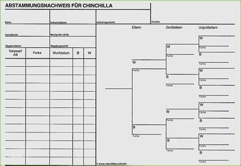 We did not find results for: Ahnentafel Vorlage Kostenlos Fabelhaft Ahnentafel Vordruck ...