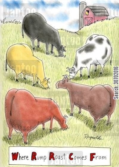 Beef Jokes