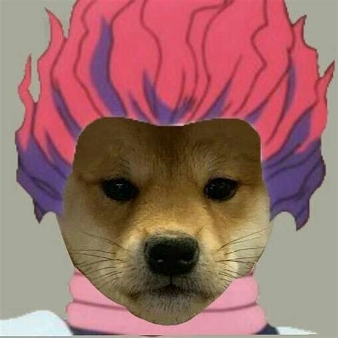 Pin By Yahoo On Anime Meme Funny Anime Pics Anime Kitten Dog Icon