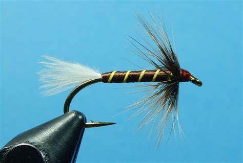 Sand Fly Nymph Fly Tying Maine Fly Fish