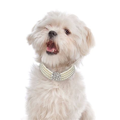 Dog Necklace Collar Jewelry Pearls Diamante Accessory For Pet Puppy