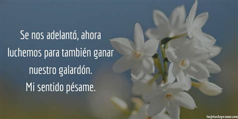 Condolencias cristianas evangélicas con imágenes. Nuevas Y Bonitas Frases De Condolencias Cristianas ...