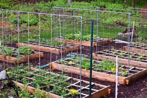 Build a bean teepee for all vining vegetables and it is a delightful retreat for all ages as well 7. Ewa in the Garden: 15 ideas of DIY pea trellis