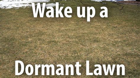 Wake Up Your Lawn Early Spring Youtube