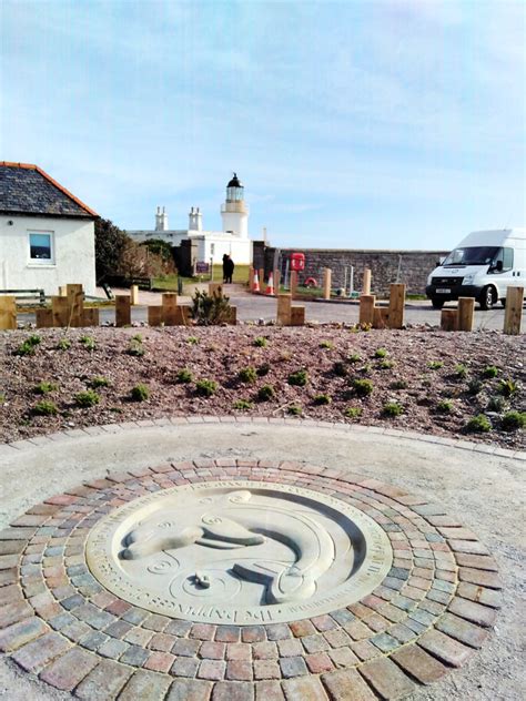 Sightings of the moray firth dolphins are highest in the chanonry point area because it's a favourite spot for dolphins to find food. Dolphin sculpture for Chanonry Point - Speyside Sculptor ...
