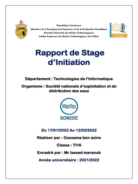 Rapport De Stage Pdf Mémoire Informatique Informatique