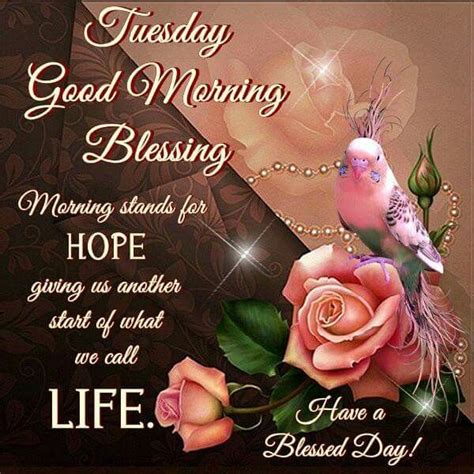 Tuesday Good Morning Blessing Pictures Photos And Images For Facebook