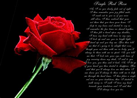 Red Roses Poem Meaning