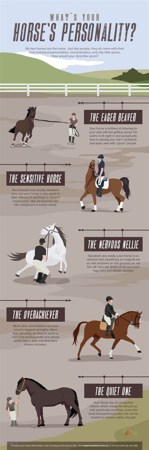 Whats Your Horses Personality Infographic Horse Facts Funny