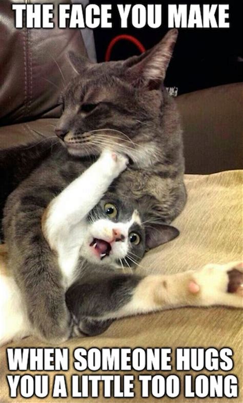 June 4th is the most commonly noted date. The Face You Make When Someone Hugs You A Little Too Long ...