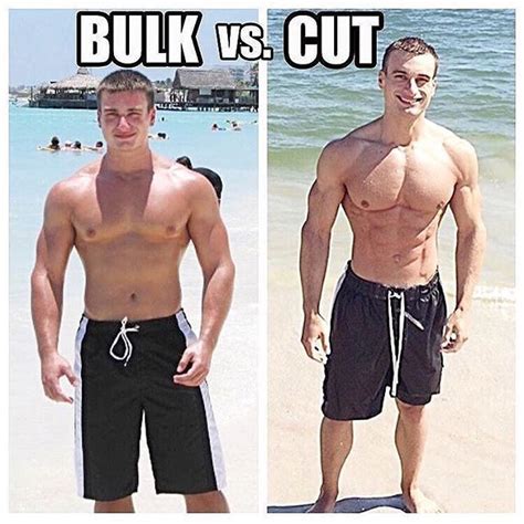 Must Does Muscle Transformation Fitness Icon Build Muscle