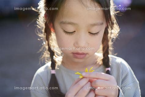 花を持っている日本人の女の子の写真素材 [182228956] イメージマート