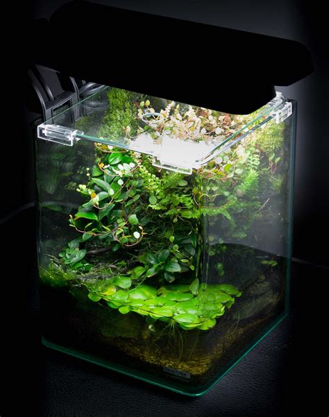 Pin On Aquariums Paludariums And Terrariums DA