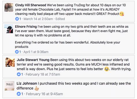 No clickbait titles or asking for votes music should stand on its own. Trudog Spray Me Dog Dental Spray