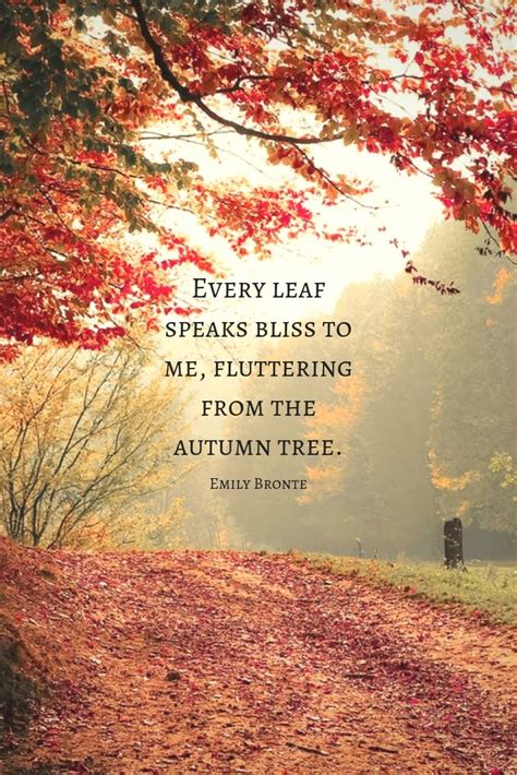 Fall Quote Tree Quote Emily Bronte Autumn Leaves On A Beautiful