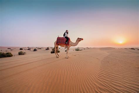 You can enjoy it either in morning or avail it during the evening safari tour. Pin on Dubai Desert Safari Tours