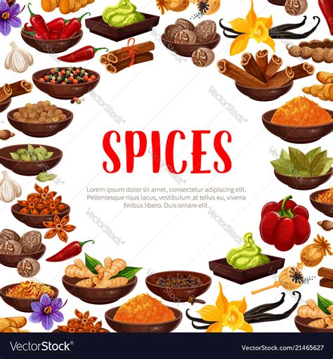 Poster Of Spices And Seasonings Royalty Free Vector Image
