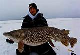 Pike Ice Fishing Images