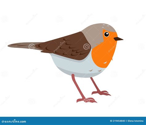 Cute European Robin Bird Icon Isolated On White Stock Vector