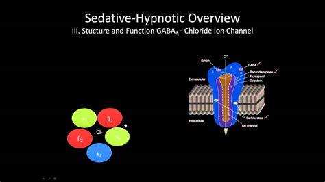 Read about benzodiazepines, a drug class used for treating anxiety, panic attacks, depression, insomnia, seizures, nausea, vomiting, muscle relaxation, sedation, and alcohol withdrawal. The GABA receptor | How does it work? - YouTube