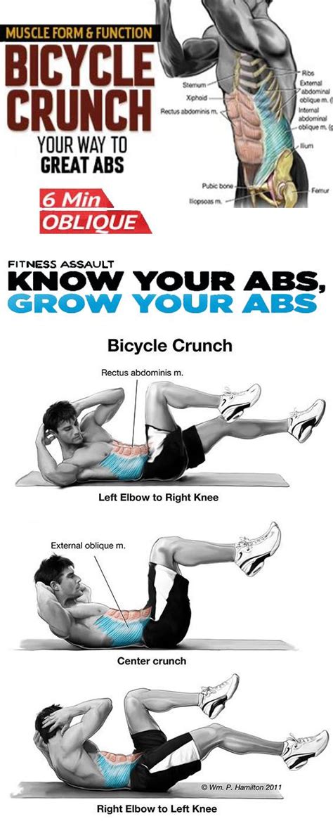 🚨how To Core Training Exercises Bicycle Crunches Workout Guide Core