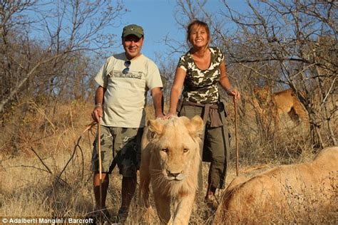 Would You Play Fetch With A Lion The Brave Couple Who Take Africas