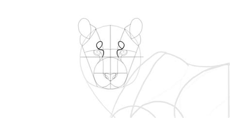 Come Disegnare Una Tigre Design E Illustrazione Como Dibujar Un