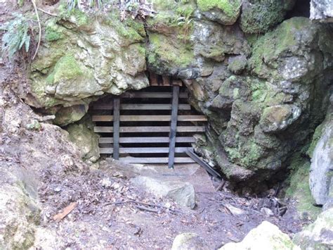 Gate Installed At Torys Cave To Help Bat Population