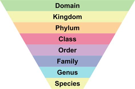 Taxonomy Permawiki