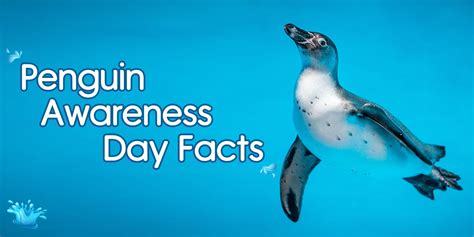 Penguin Awareness Day Facts Penguin Books New Zealand