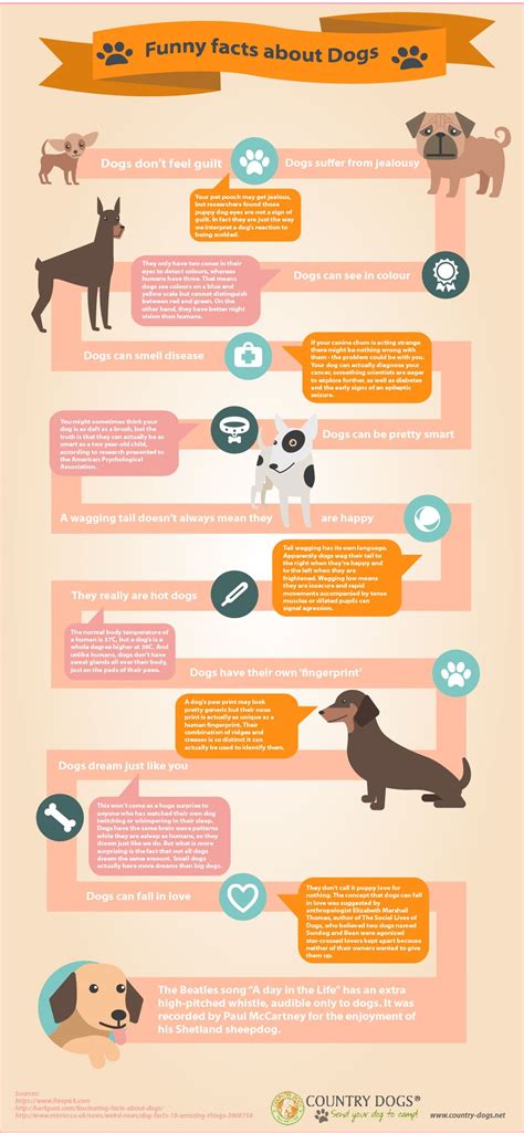 Funny Facts About Dogs Infographic Visualistan
