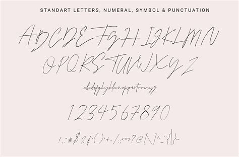 Juliette Stylish Handwritten Signature Font Master Script