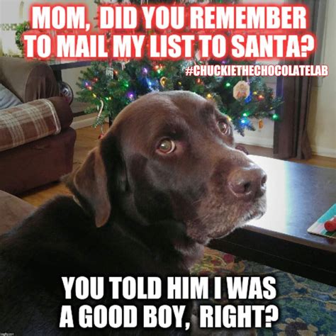 Tell Santa Im A Good Boy Imgflip