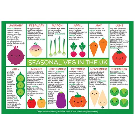 Seasonal Vegetables Chart Vegetable Seasoning Fruit In Season