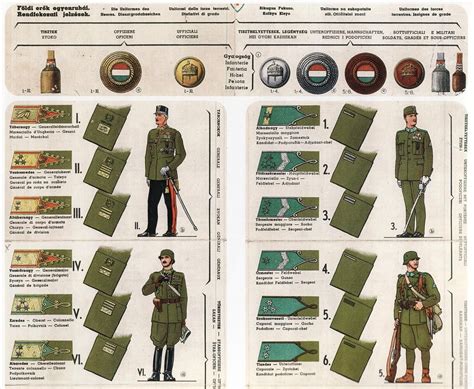 Hungarian Rank Insignia Military Graphics Military Ranks Army Ranks