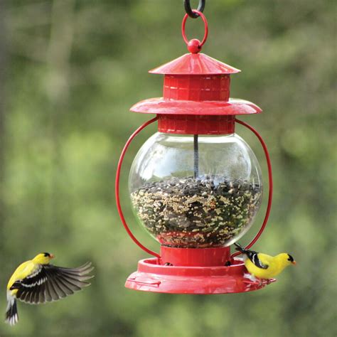 Lantern Bird Feeder Glass Bird Feeders Hanging Seed Feeders The