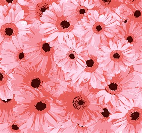 Free Photo Pink Flowers Beautiful Flower Lake Free Download Jooinn