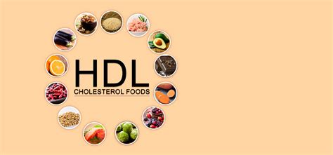 Foods such as kidneys, eggs and prawns are higher in dietary cholesterol than other foods. 5 Foods that boost HDL