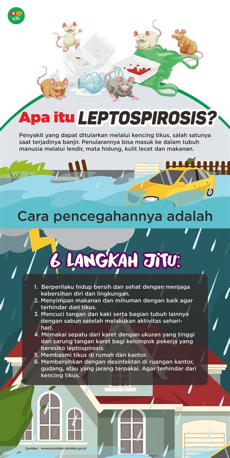 Apa Itu Leptospirosis Info
