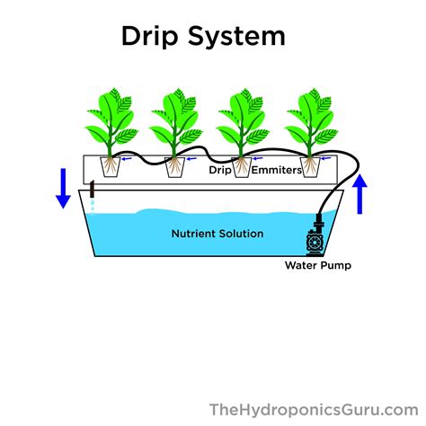 How The Drip Hydroponics System Works The Hydroponics Guru