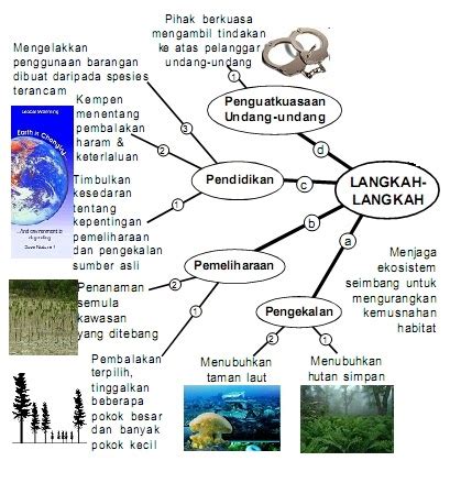 Ia telah disenaraikan sebagai haiwan terancam pada senarai merah iucn sejak tahun. Langkah Menghalang Kepupusan Haiwan dan Tumbuhan | PANITIA ...