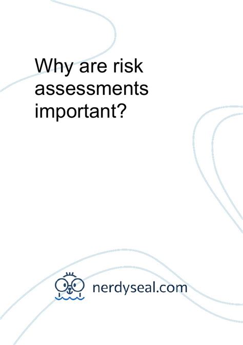 Why Are Risk Assessments Important 2172 Words NerdySeal