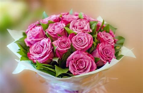 Beautiful Pink Roses Bouquet Stock Image Image Of Happines Mood