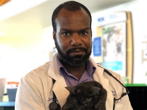 We see emergency cases as well as less urgent medical and surgical issues. Dr. Jed Powell | VCA Imperial Point Animal Hospital