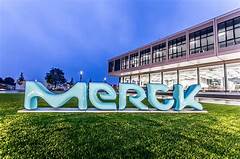 Merck Nursing Jobs
