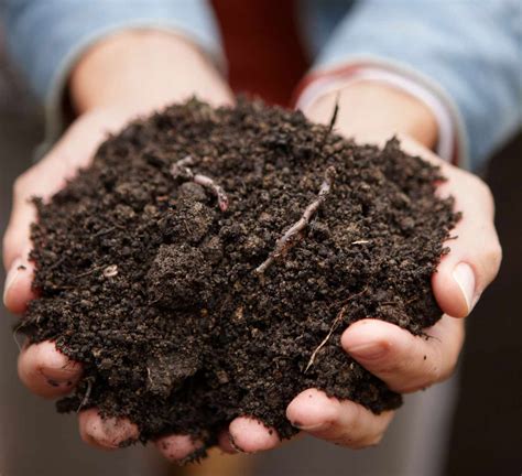 These Composting Tips Will Transform Your Garden Midwest Living