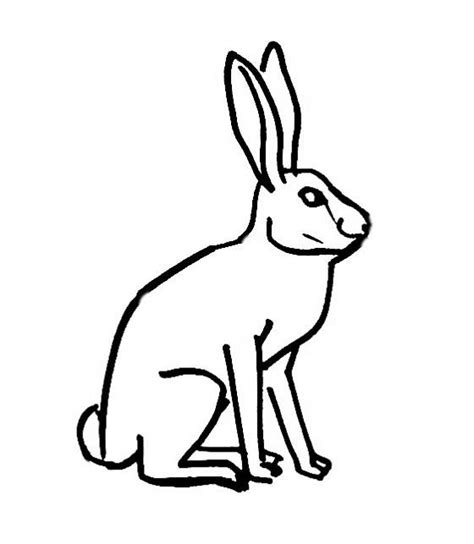 Let this bunny coloring page provide a little fun for your child. Hare Drawing at GetDrawings | Free download